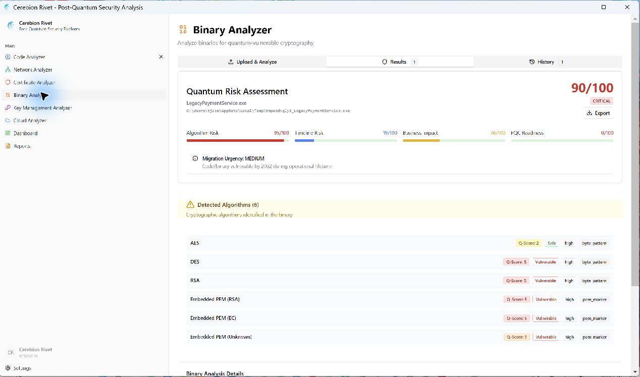 Binary Analyzer screenshot