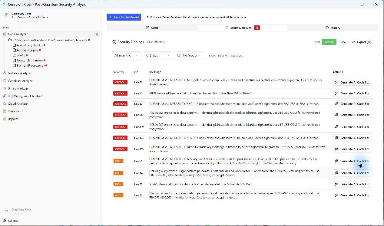 Code Analyzer screenshot